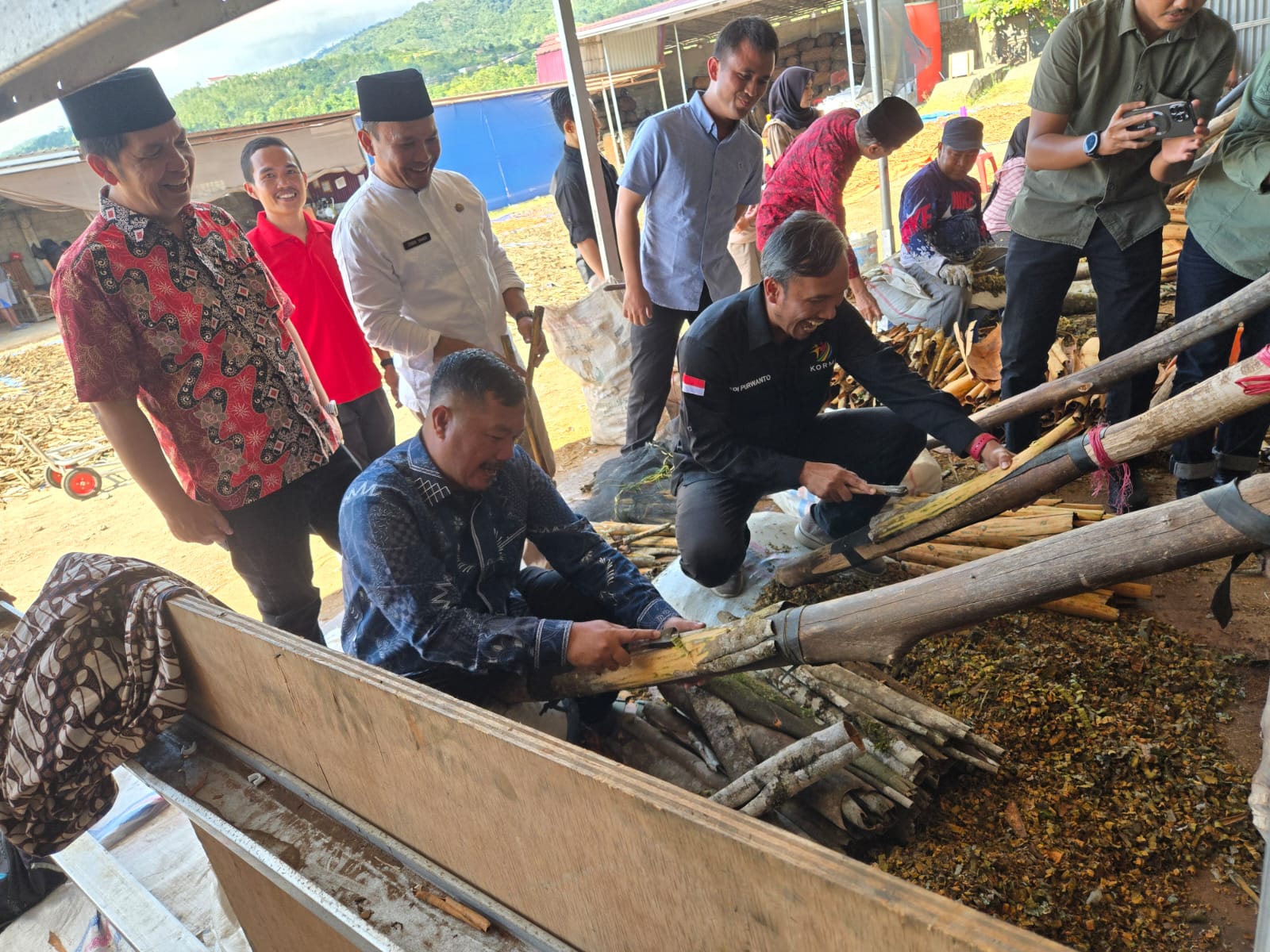 Kulit Manis Komoditi Unggulan Kerinci Kulit Manis Komoditi Unggulan Kerinci