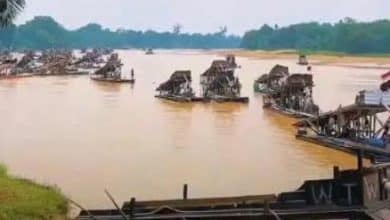 PETI Kembali Kepung Sungai Batanghari di Tebo