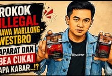 Marllong - Westbro Rokok ilegal Jawa Diduga Kuat Oknum Aparat DK dan VK Pemainnya