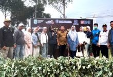 Festival Kopi Kerinci Dibuka