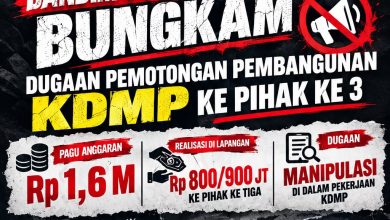 KDMP Disoal, Fee, Monopoli Pekerjaan oleh Doktrin Penguasa