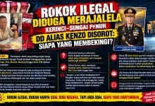 Rokok Ilegal Diduga Bebas Beredar di Kerinci–Sungai Penuh, DD Alias Kenzo Disorot: Siapa yang Membekingi?Rokok Ilegal Diduga Bebas Beredar di Kerinci–Sungai Penuh, DD Alias Kenzo Disorot: Siapa yang Membekingi?